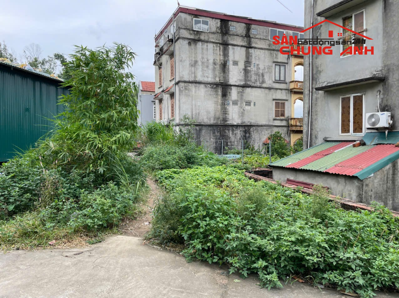 BÁN ĐẤT Ở KHU DÂN CƯ PHƯỜNG BÃI CHÁY - TỈNH QUẢNG NINH