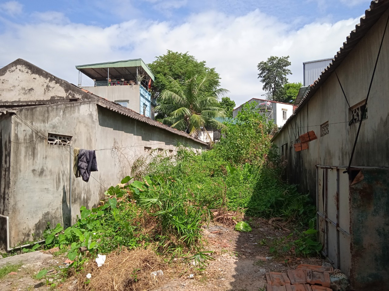 BÁN ĐẤT Ở KHU DÂN CƯ PHƯỜNG VIỆT HƯNG - TỈNH QUẢNG NINH