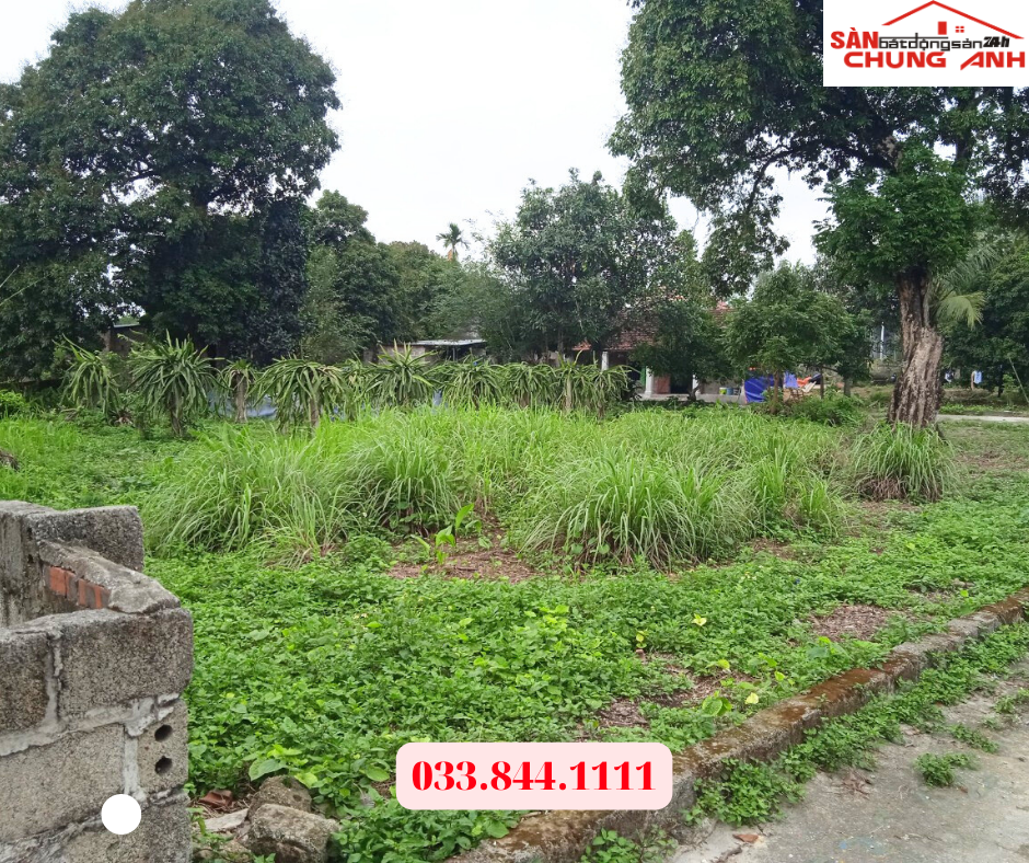 BÁN ĐẤT Ở KHU DÂN CƯ PHƯỜNG HOÀNH BỒ - TỈNH QUẢNG NINH