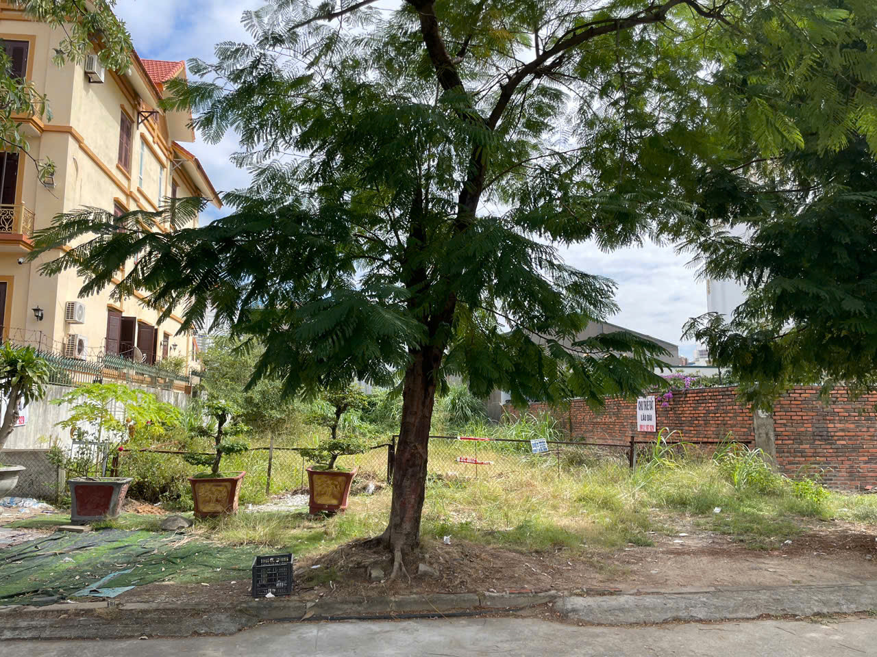 CHO THUÊ ĐẤT PHƯỜNG BÃI CHÁY - QUẢNG NINH