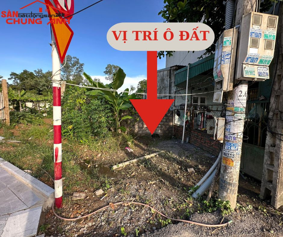 BÁN ĐẤT Ở KHU DÂN CƯ PHƯỜNG HÀ TU - TỈNH QUẢNG NINH