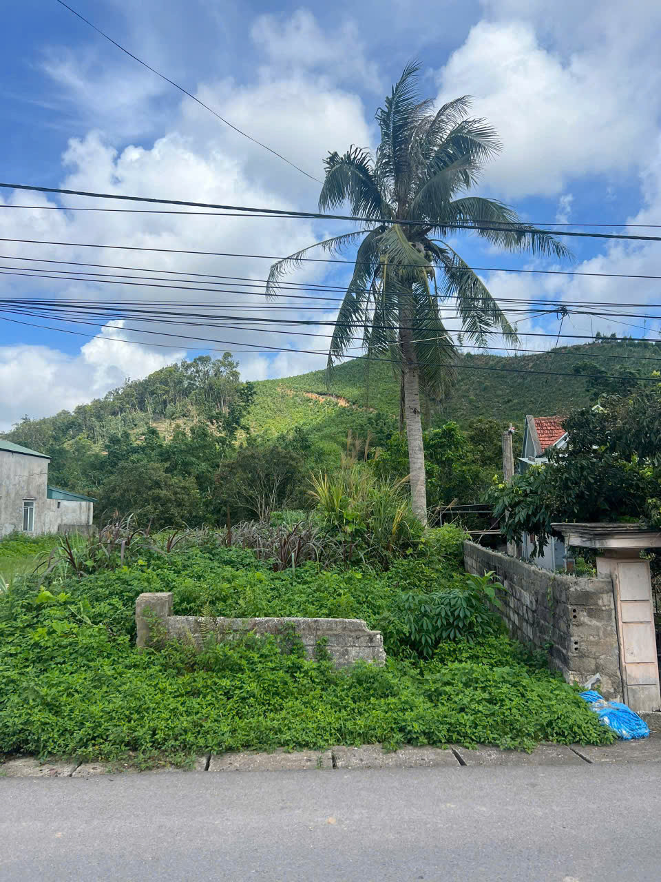 BÁN ĐẤT Ở KHU DÂN CƯ ĐẶC KHU VÂN ĐỒN - TỈNH QUẢNG NINH