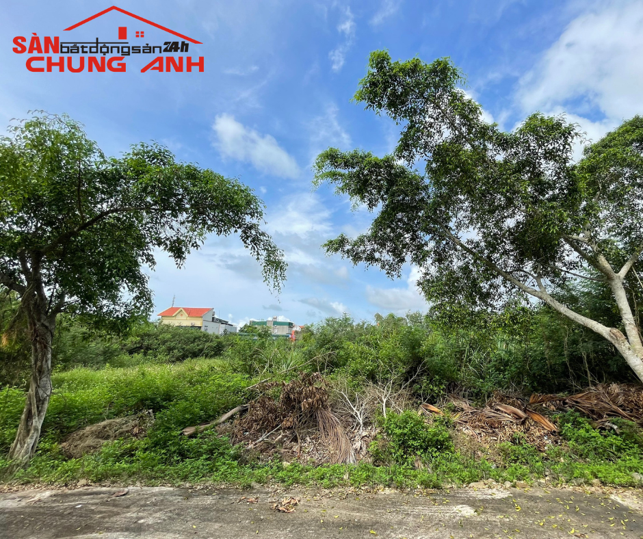 BÁN ĐẤT Ở KHU DÂN CƯ ĐẶC KHU VÂN ĐỒN - TỈNH QUẢNG NINH