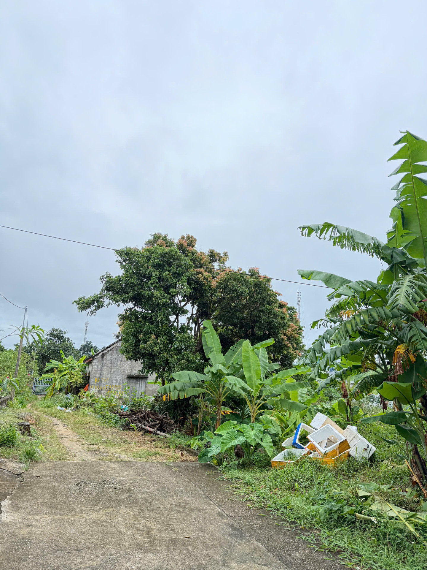 BÁN ĐẤT Ở KHU DÂN CƯ ĐẶC KHU VÂN ĐỒN - TỈNH QUẢNG NINH