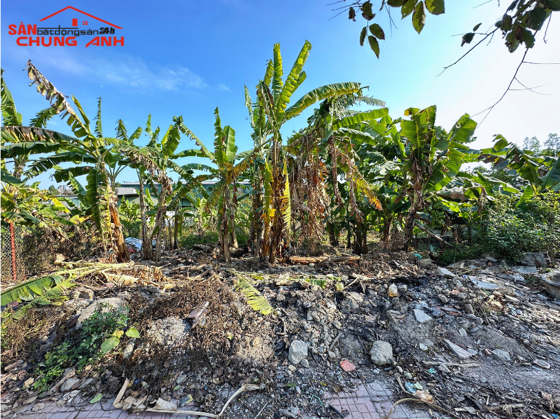 BÁN ĐẤT Ở KHU DÂN CƯ ĐẶC KHU VÂN ĐỒN - TỈNH QUẢNG NINH