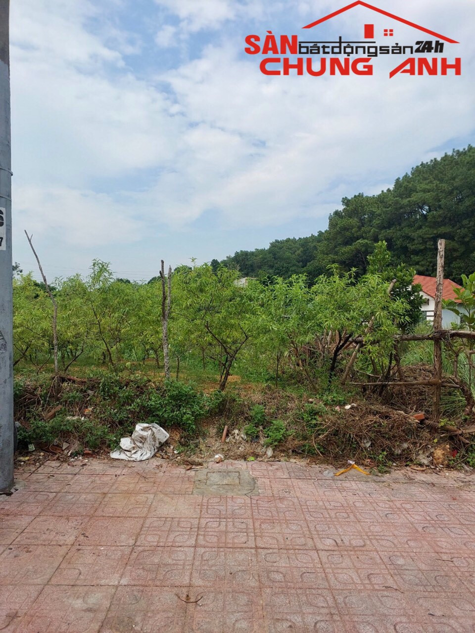 BÁN ĐẤT Ở KHU DÂN CƯ ĐẶC KHU VÂN ĐỒN - TỈNH QUẢNG NINH