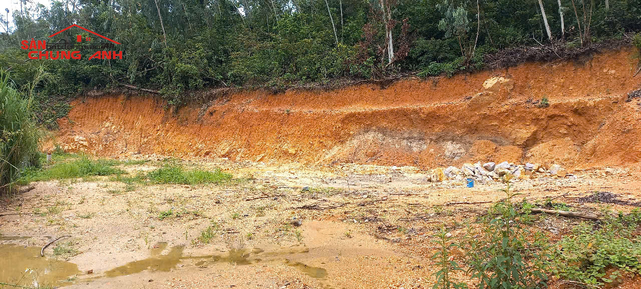 BÁN ĐẤT Ở KHU DÂN CƯ PHƯỜNG HÀ LẦM - TỈNH QUẢNG NINH