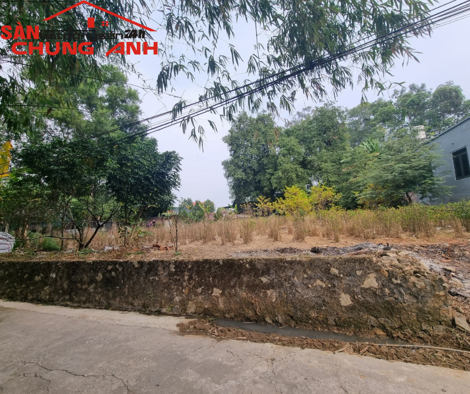 BÁN ĐẤT Ở KHU DÂN CƯ KHU PHỐ ĐÌNH - PHƯỜNG HIỆP HÒA - TỈNH QUẢNG NINH