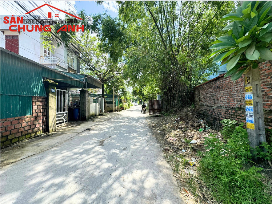 BÁN Ô ĐẤT KHU PHỐ HẢI HÒA - PHƯỜNG ĐÔNG MAI - TỈNH QUẢNG NINH