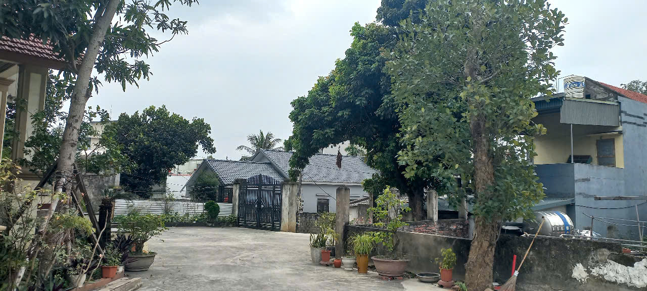 BÁN ĐẤT Ở KHU DÂN CƯ PHƯỜNG HÀ TU - TỈNH QUẢNG NINH