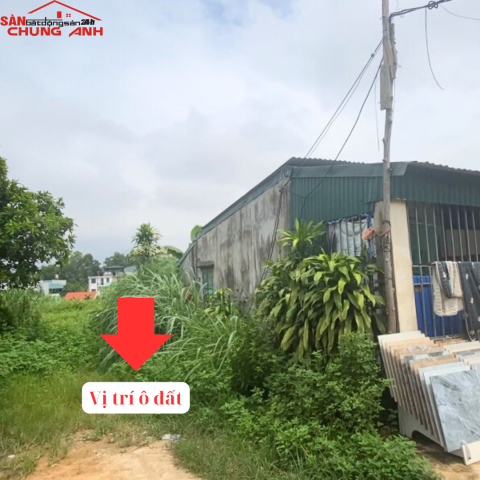 BC227 - BÁN ĐẤT Ở KHU DÂN CƯ PHƯỜNG VIỆT HƯNG - TỈNH QUẢNG NINH