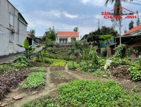 BC231 - BÁN ĐẤT Ở KHU DÂN CƯ PHƯỜNG VIỆT HƯNG - TỈNH QUẢNG NINH