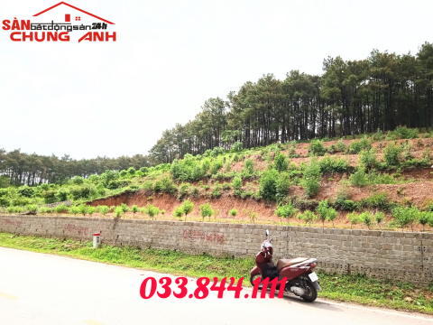 BC253 - BÁN ĐẤT Ở KHU DÂN CƯ PHƯỜNG HOÀNH BỒ - TỈNH QUẢNG NINH