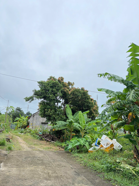 VD506 - BÁN ĐẤT Ở KHU DÂN CƯ ĐẶC KHU VÂN ĐỒN - TỈNH QUẢNG NINH