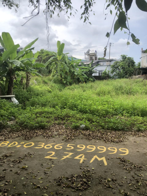 VD511 - BÁN ĐẤT Ở KHU DÂN CƯ ĐẶC KHU VÂN ĐỒN - TỈNH QUẢNG NINH