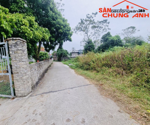 VD599 - BÁN ĐẤT Ở KHU DÂN CƯ HOÀNG TÂN - PHƯỜNG HÀ AN - TỈNH QUẢNG NINH