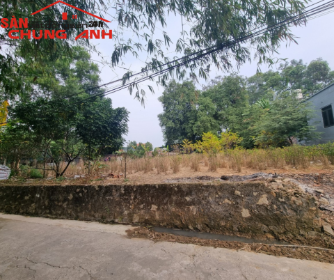 QY602 - BÁN ĐẤT Ở KHU DÂN CƯ KHU PHỐ ĐÌNH - PHƯỜNG HIỆP HÒA - TỈNH QUẢNG NINH