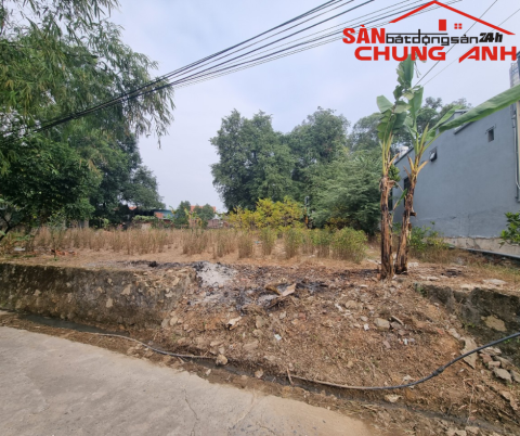 QY603 - BÁN ĐẤT Ở KHU DÂN CƯ KHU PHỐ ĐÌNH - PHƯỜNG HIỆP HÒA - TỈNH QUẢNG NINH 