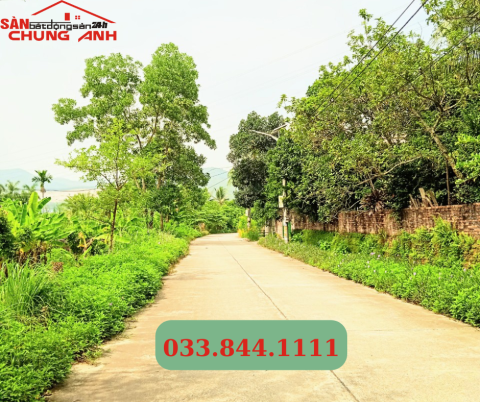 BC675 - BÁN ĐẤT Ở KHU DÂN CƯ PHƯỜNG HOÀNH BỒ - TỈNH QUẢNG NINH